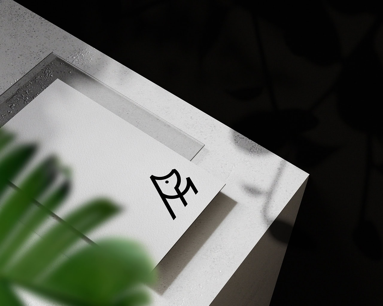 Dog Clothing & Accessories Brand Identity Business Cards