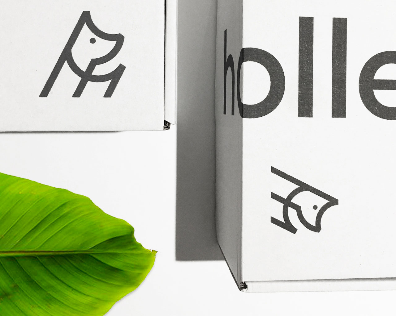 Dog Clothing & Accessories Packaging Brand & Design