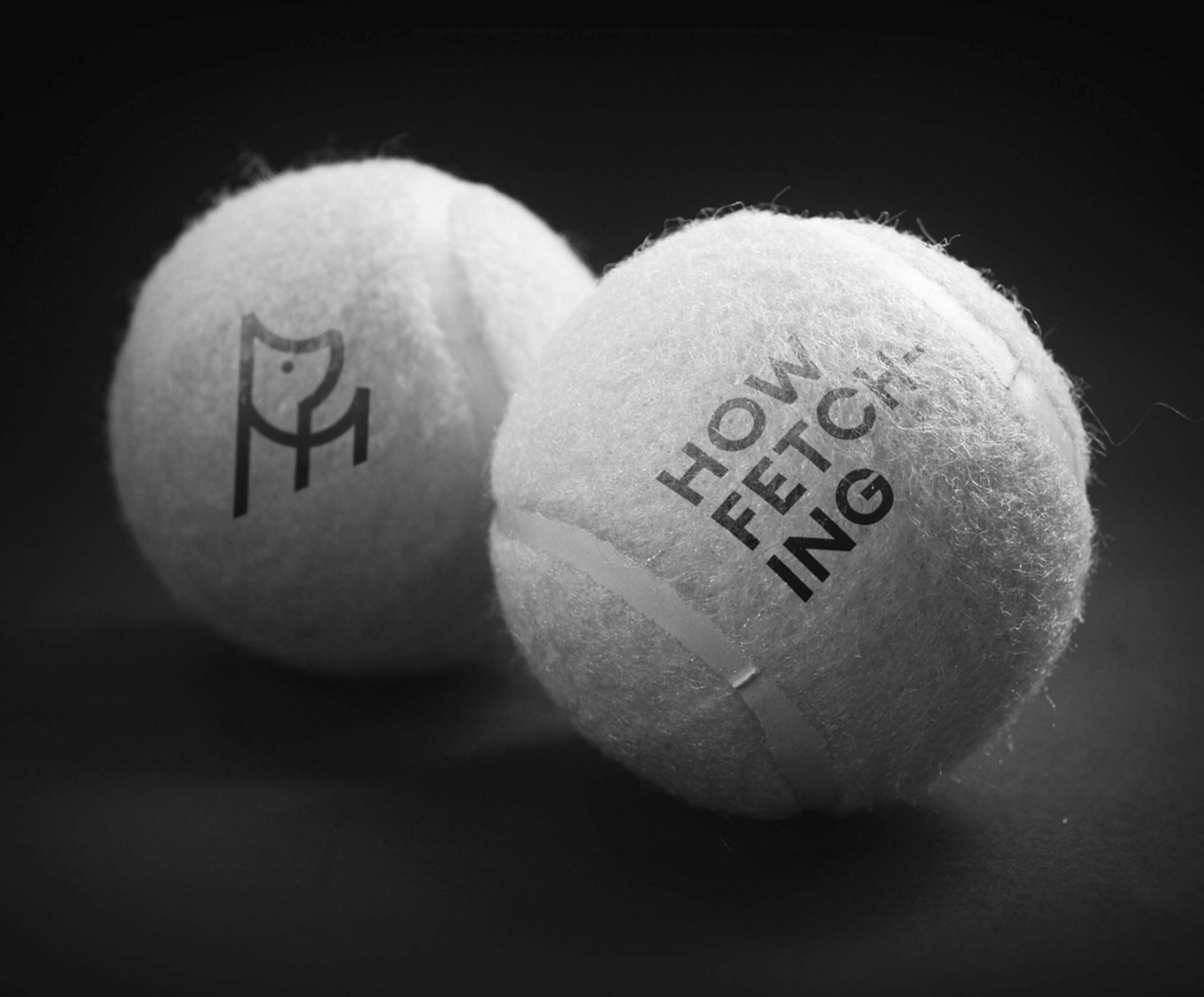 Holler Dog Boutique Tennis Balls