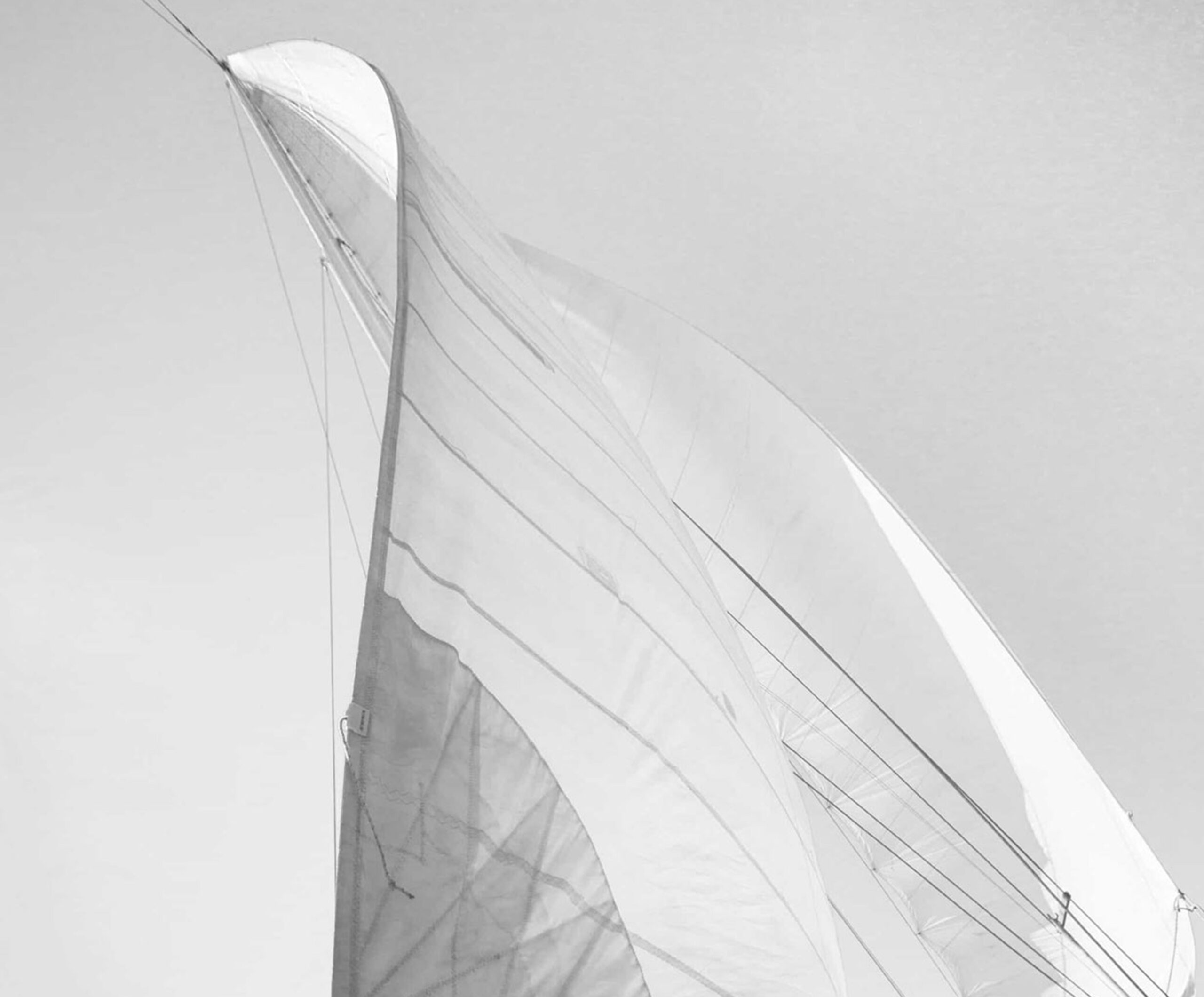 Lutine Bell Executive Search Sail Photography
