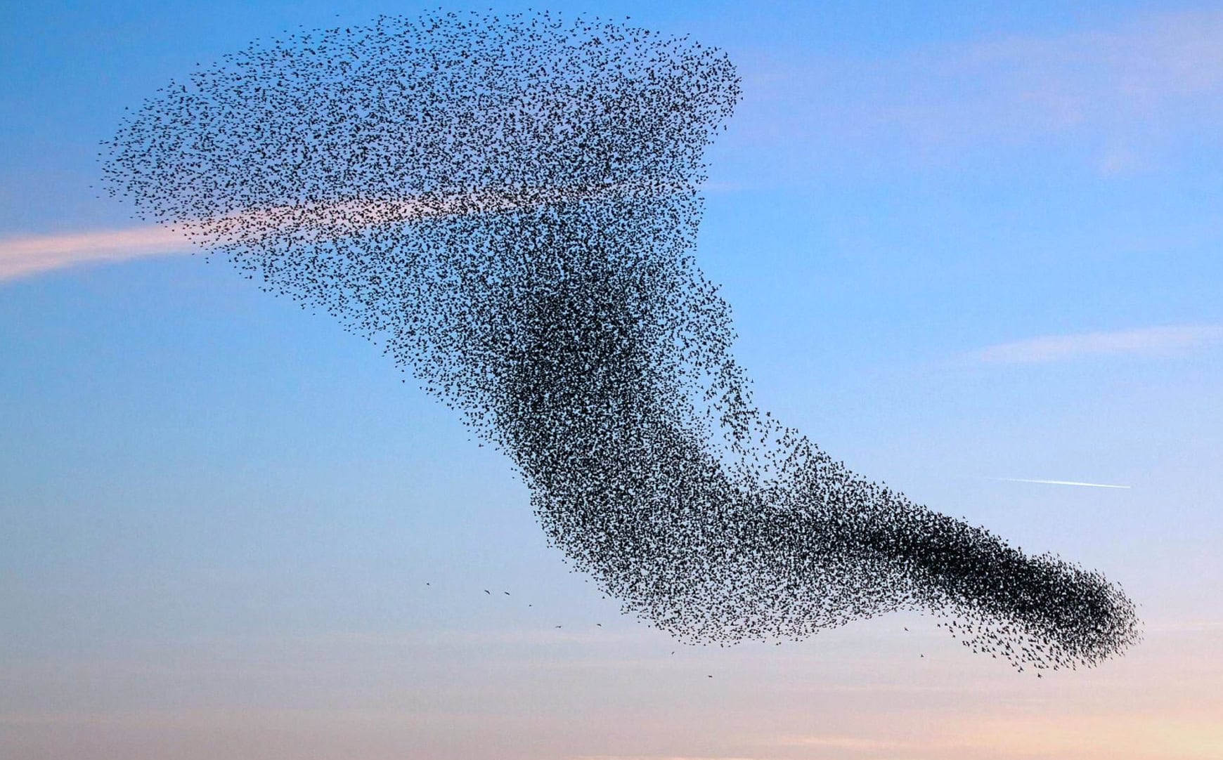 The Projects Co-Working Starlings Brighton