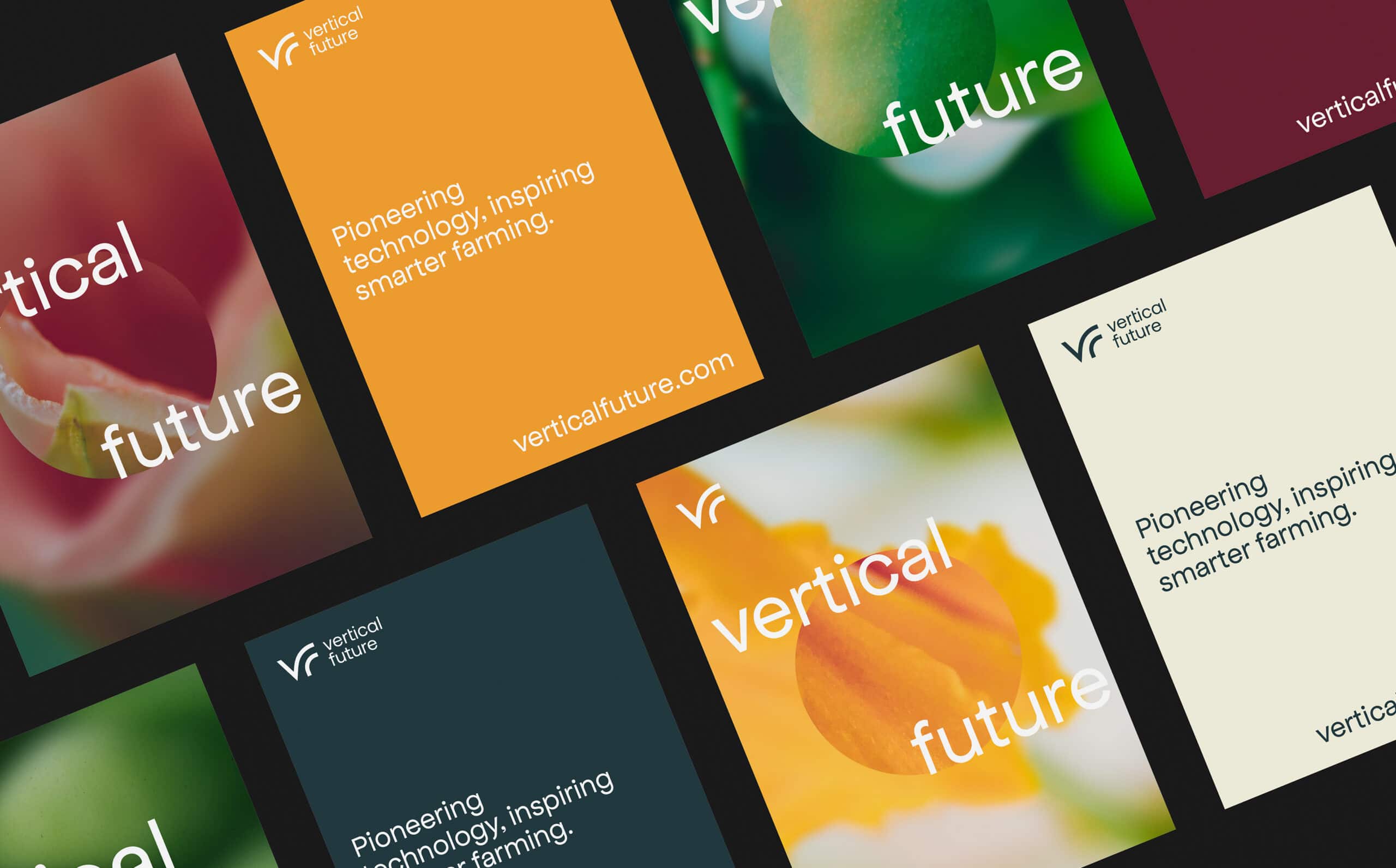 Vertical Future