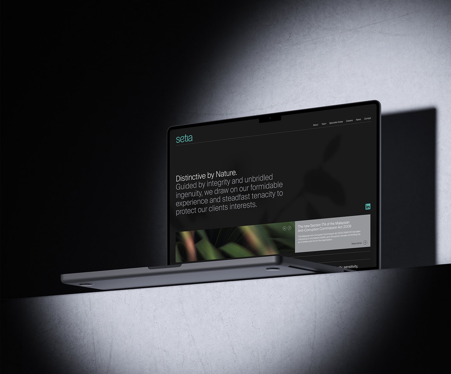 Law Firm Branding & Website