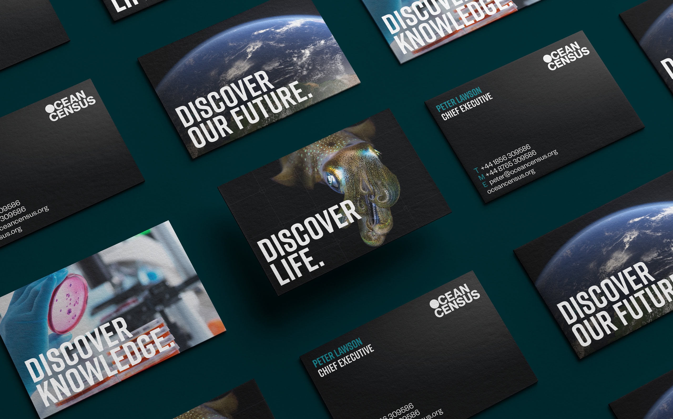 Ocean Initiative Branding & Website
