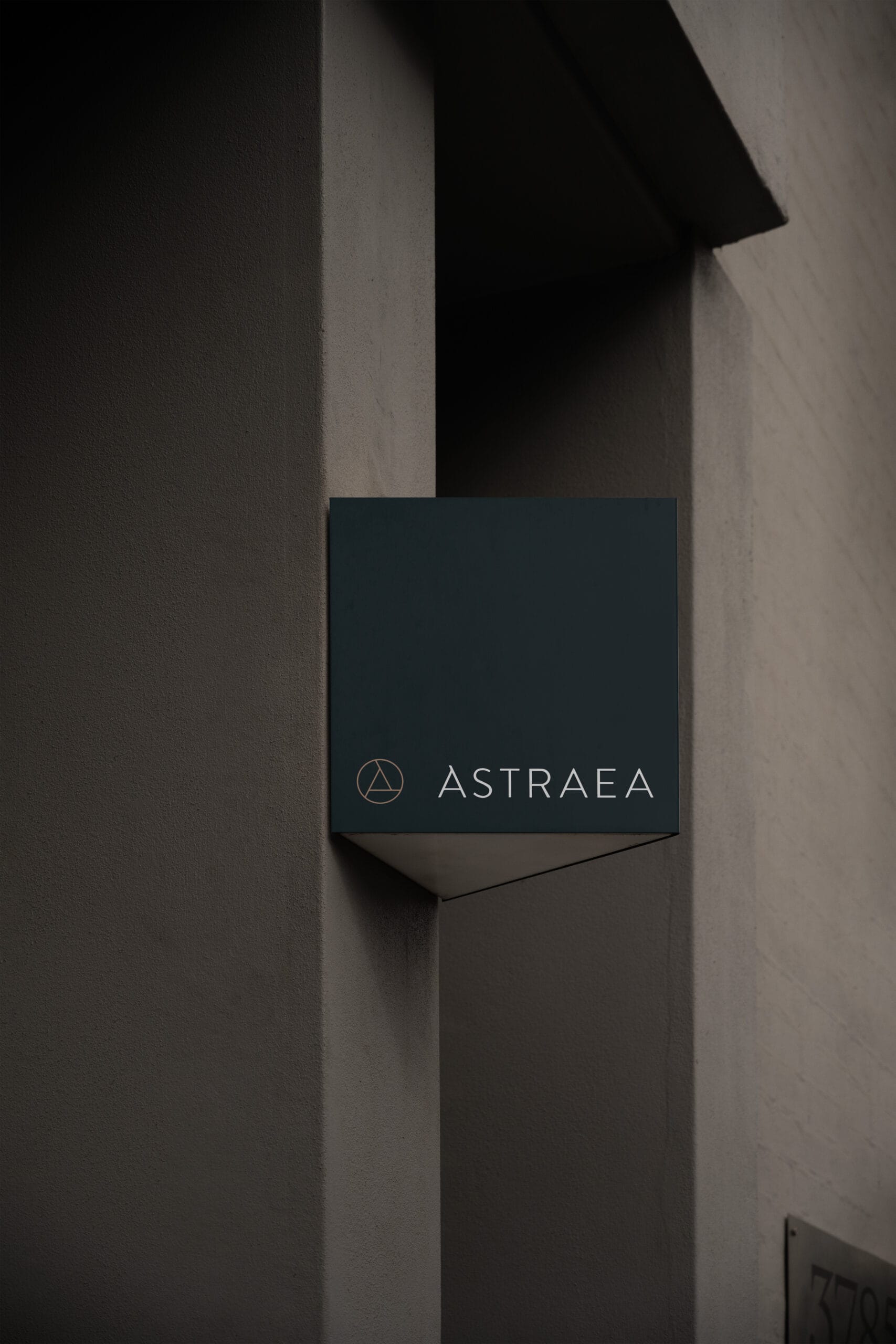 Branding & Website for Legal Services Firm